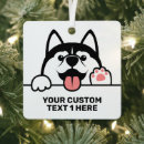 Search for siberian ornaments Illustration