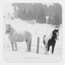 Search for horse picture stickers Cowboy