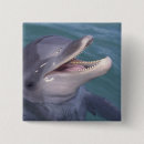 Search for bottlenose dolphin buttons Ocean