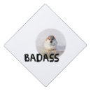 Search for sparrow hats Animal