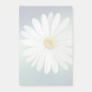 Search for white daisy Petals