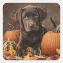 Search for chocolate labrador retriever stickers Cute