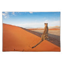 Search for wildlife placemats landscape