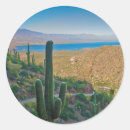 Search for sonoran desert stickers Landscape