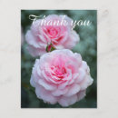 Recherche de la fleur remercient Rose