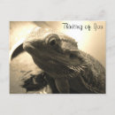 Recherche de barbu cartes postales Barbe