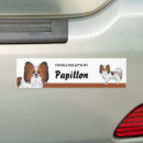 Recherche de papillon voiture autocollants Illustration