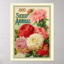 Search for catalogue posters Seeds