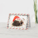 Search for pug christmas cards Cute pet