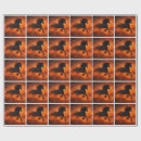 Search for stallionness wrapping paper Black stallion