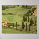 Search for lush posters Field