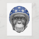 Recherche de motocycliste cartes postales Pilote