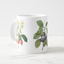 Search for redoute mugs Botany