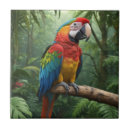 Search for parrot tiles Jungle