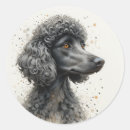 Search for standard stickers Animal