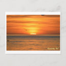 Search for sarasota postcards Sunset