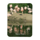 Recherche de flamants roses magnets Pour tous