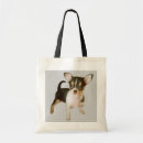 Recherche de chiwawas sacs Chiot