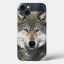 Search for canis Fauna