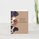 Search for peek a cards Peeking