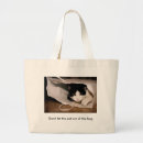 Recherche de fancier de chat Amoureux des chats