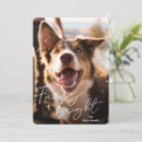 Recherche de noël de chien cartes postales Fureur et lumineux