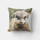 Search for meerkat pillows Cute