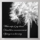 Search for black and white dandelion posters Floral