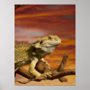 Recherche de blooded posters Scales