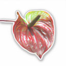 Recherche de anthurium autocollants Fleur