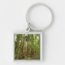 Search for muir woods keychains California