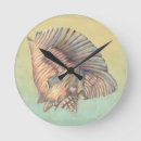 Search for shell clocks Large seashell