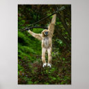Recherche de près de vous posters Animal