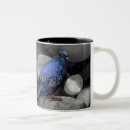 Recherche de pigeon tasses Oiseaux