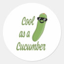 Search for idioms stickers Pun