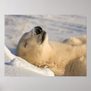 Search for manitoba posters Travel