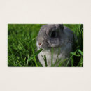 Recherche de casse croûte cartes visite Pour tous