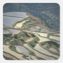 Recherche de riz autocollants Chinois