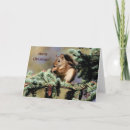 Search for red squirrel christmas cards Wildlife