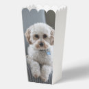 Recherche de cartes ballotins Fête d'anniversaire