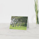 Search for live oak tree Nature
