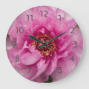 Recherche de pivoine rose horloges Botanique
