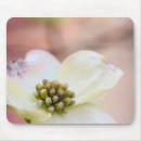 Search for spring bud mousepads Colourful