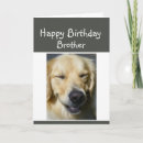 Search for laughs cards For him