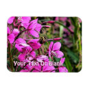 Recherche de bourdons magnets Animaux