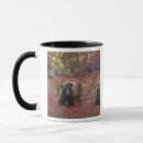 Search for arctos mugs Environment
