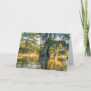 Recherche de humide vœux cartes Forêt