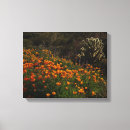 Search for orange poppy canvas prints Floral