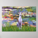 Search for whippet posters Dog