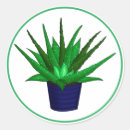 Search for vera stickers Plant